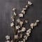 Peach Blossom Stem by Ashland®